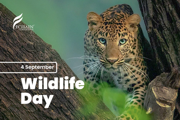 Wildlife-Day-veb